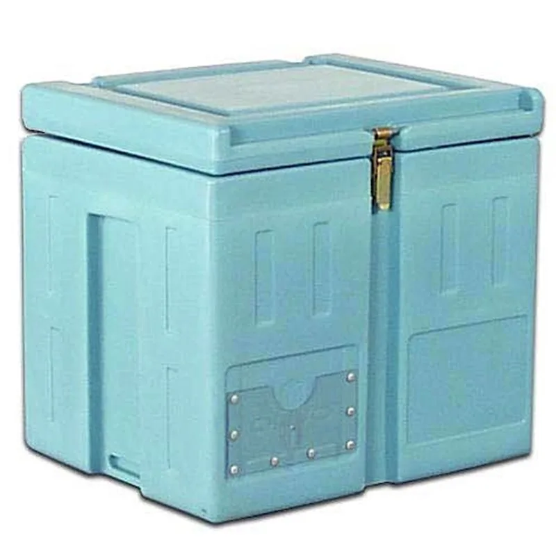 ΜΟΝΩΜΕΝΟ BAC OLIVO (PE) 55Lit